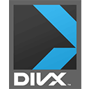 DivX编码的电影文件