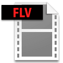 Flash视频文件