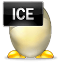 ICE文件存档
