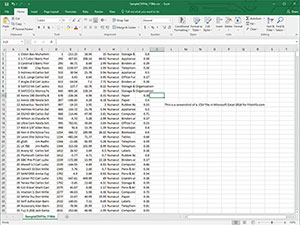 Microsoft Excel 2016中.csv文件的屏幕截图