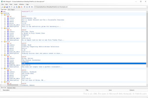 Microsoft xml记事本中.xml文件的屏幕截图