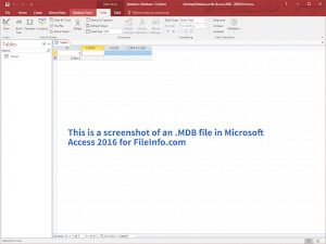 Microsoft Access 2016中.mdb文件的屏幕截图