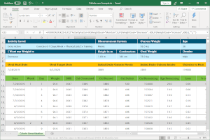 Microsoft Excel 2019中.xls文件的屏幕截图
