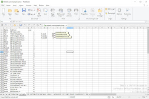 SoftMaker Office PlanMaker 2018中.pmvx文件的屏幕截图