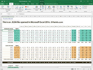 Microsoft Excel 2016中.xlsm文件的屏幕截图